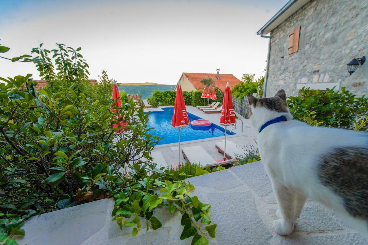 Mediteraneo Villa Kaluderovici Екстер'єр фото